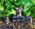 Top Collection 4387 Miniature Garden & Terrarium Fairy Napping on Books Statue, Small...