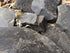 BLACK edible Clay chunks (lump) natural for eating (food), 4 oz (110 g)...