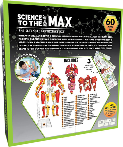 Be Amazing! Toys Interactive Human Body - 60 Piece Fully Poseable Anatomy Figure – 14” Tall Model - Anatomy Kit – Removable Muscles, Organs,Bones ...