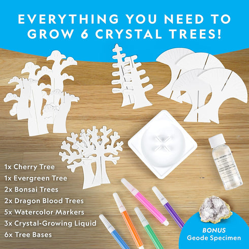 Kids Crystal Growing Kit - Grow 6 Crystal Trees in Just 6 Hours, Educational STEM Craft Kit with Art Supplies and Geode Specimen...