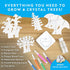 Kids Crystal Growing Kit - Grow 6 Crystal Trees in Just 6 Hours, Educational STEM Craft Kit with Art Supplies and Geode Specimen...