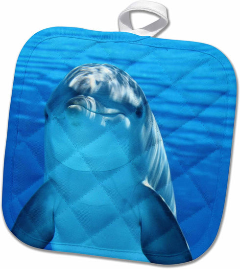 3D Rose Blue Dolphin in The Sea Life Pot Holder, 8 x 8...