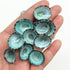 PEPPERLONELY 50PC Green Limpet Shells Craft Sea Shells, 1/2 Inch ~ 1 Inch...