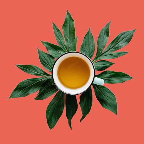Blueberry Rooibos, Loose Leaf Tea - Elderberry, Hibiscus, Apple - Caffeine Free, Immune Boost Cold Care, Hot & Iced | bulk 8oz, 80-100 cups | The ...