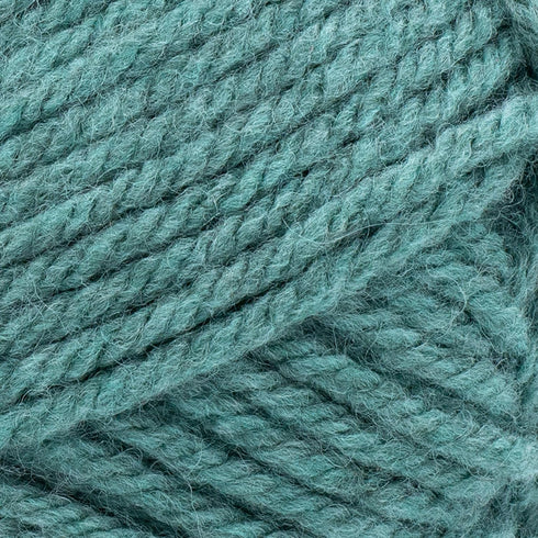 Lion Brand Yarn Hue & Me Bulky Yarn, Agave, 1 Skein...