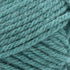 Lion Brand Yarn Hue & Me Bulky Yarn, Agave, 1 Skein...
