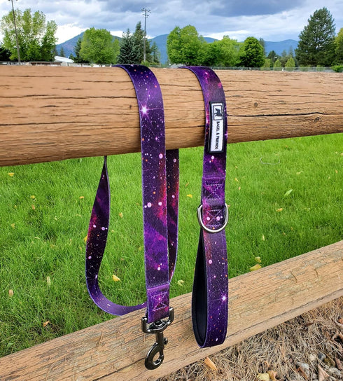 Bagel & Friends Matching Dog Collar & Leash Set XSmall, Small, Medium, Large for boy, Male, Female, Girl Dogs and Puppy (Large, Purple Galaxy)...