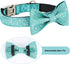 Bling Dog Bow Tie Collar for Puppy Small Medium Dogs, Cute Teal Boy Dog Collar with Bow for Daily Walking or Christmas Holiday (Neck fit 11-16’’)...