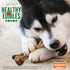 Nylabone Healthy Edibles Natural Long Lasting Venison Flavor Dog Chew Treats Wild Bone Large/Giant(1 Count)...