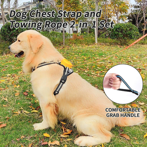 Dog Harness and Leash Set |Dog Vest Harness with 6 ft Multifunction Retractable Dog Leash | with One-Button Control,One-Handed Brake, Tangle Free ...