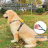Dog Harness and Leash Set |Dog Vest Harness with 6 ft Multifunction Retractable Dog Leash | with One-Button Control,One-Handed Brake, Tangle Free ...