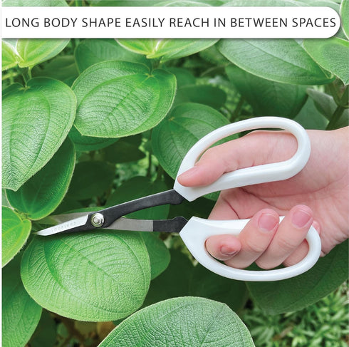Precision Gardening Scissors Plant Trimming Pruning Shears Garden Pruners for Orchid Bonsai Hydroponic Garden Snip Flower Clipper Modern Garden To...