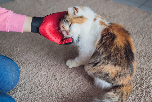 PAIR of Low-Cost Pet Grooming Gloves - Superior Care for Your Furry Friends. Ideal for Grooming, Deshedding, Bathing & Massaging Your Dogs & Cats ...