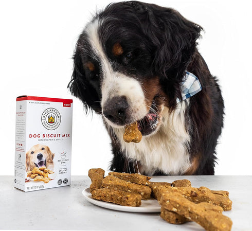 King Arthur Baking Company Dog Biscuit Mix, Pumpkin & Apple, Homemade Dog Treats, 12oz...