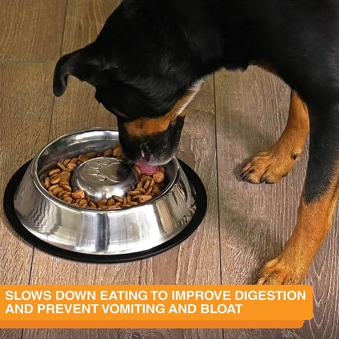 Neater Pet Brands Stainless Steel Slow Feed Bowl - Non-Tip & Non-Skid - Stops Dog Food Gulping, Bloat, Indigestion, and Rapid Eating (3/4 Cup)...