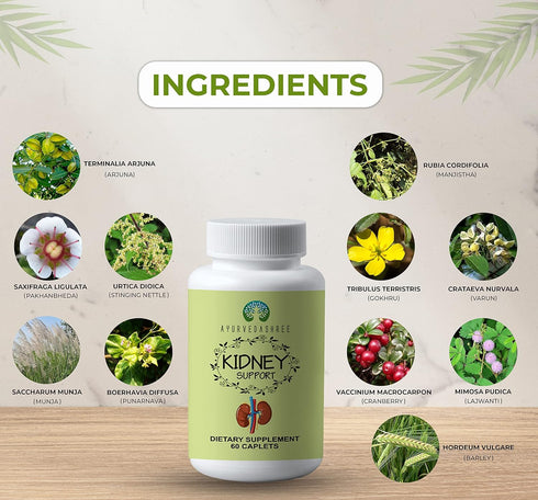 Kidney Support Herbal Supplement - Supports Healthy Kidney Function, Vegan, Gluten-Free, GMP Certified - Each Caplet of 1000 MG...