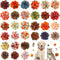 Sanwuta 30 Pcs Fall Dog Collar Flowers Bulk Thanksgiving Pet Flower Collar Bow Ties Holiday Dog Accessories Slides Attachment Decorations for Smal...
