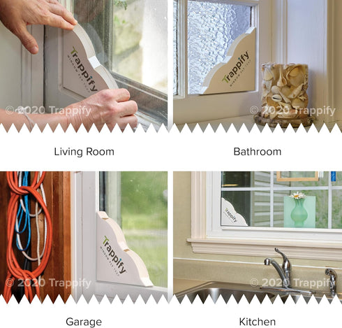 Trappify Fly Trap Indoor: Window Fly Traps for Home | Fruit Fly Traps for Indoors, Gnat Traps for House Indoor | Disposable Fly Trap with Sticky A...