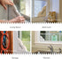 Trappify Fly Trap Indoor: Window Fly Traps for Home | Fruit Fly Traps for Indoors, Gnat Traps for House Indoor | Disposable Fly Trap with Sticky A...