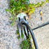 New Weeding Artifact Uprooting Weeding Tool Length of 14.37in Stainless Steel Multifunctional 4 Teeth Weeder for Easy Weed Removal in Garden, Yard...
