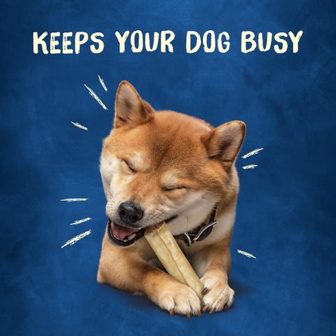 Purina Busy Rawhide Small/Medium Breed Dog Bones, Rollhide - 9 ct. Pouch...