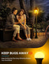 KINDEEP Amber Light Bulbs, 9W Amber Yellow LED Light Bulb, 2000K Soft Warm Sleep Light Bulbs, Bug Light Bulbs, 60W Equivalent, E26, for Bedroom, N...
