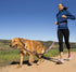 HALTI Active Leash - Award-Winning Bungee Dog Leash, Shock-Absorbing, All-in-One Neoprene Padded Belt & Lead, Perfect for Running & Training with ...