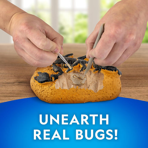NATIONAL GEOGRAPHIC Real Bug Dig Kit - Dig up 3 Real Insects including Spider, Fortune Beetle and Scorpion - Great STEM Science Gift...