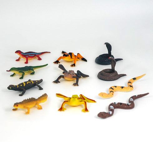 Reptile from Deluxebase. 11 Piece Small Reptile Figurines and Play Accessories Collection. Reusable plastic storage tube of lizard, frog and snake...