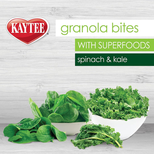 Kaytee Granola Bites with Super Foods Spinach and Kale for Pet Birds, Conure, Cockatiel, Lovebird, Parakeet, Amazon, African Grey, Ecletus, Pionus...
