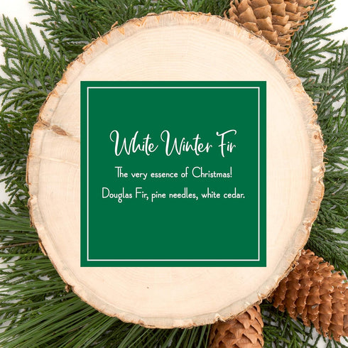 Scentsicles - 04314-024 Scented Christmas Ornaments for Christmas Tree, All Natural Holiday Air Freshener (White Winter Fir Holiday Fragrance) Inc...