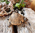 Hide A Key Outside - Spare Key Hider - Outdoor Key Hider, Garden Turtle Statues Key Box...