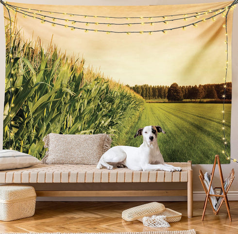 Lunarable Country Tapestry, Cornfield Farmland Near Forest Foliage Rural Harvest Season Landscape Scenics, Fabric Wall Hanging Decor for Bedroom L...