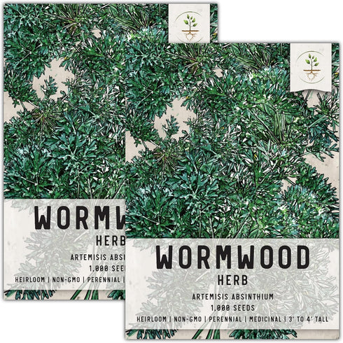 Seed Needs, Wormwood Seeds - 1,000 Heirloom Seeds for Planting Artemisia absinthium - Non-GMO & Untreated Medicinal Herb for Digestion & Gut Healt...
