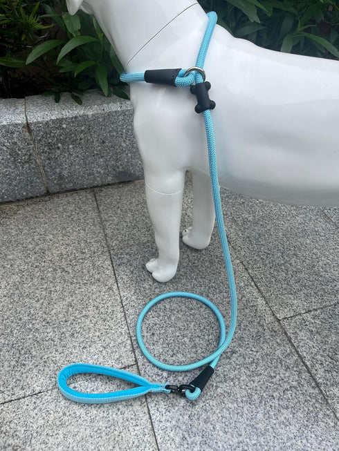 Slip Lead Dog Leash(6ft)?Strong Nylon Rope Leash Anti-Choking Anti-Pull and Outdoor Walking Training Lead for Small Medium Large Dogs (Light Bule,...
