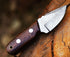 Ancilla Handmade Damascus Hunting Knife - EDC Camping Knife - Fixed Blade Mini Pocket knife - Full Tang Bushcraft and Skinning Knife with Leather ...