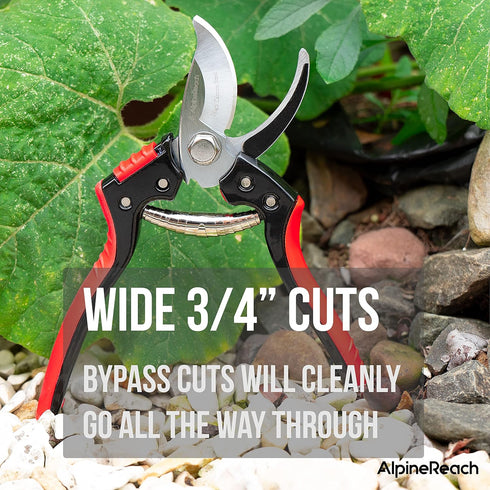 Bypass Pruning Shears for Gardening, Professional & Sharp, Gift Box for Women & Men, Ergonomic 8" Hand Pruner, Wide 3/4” High Carbon Steel Blade t...