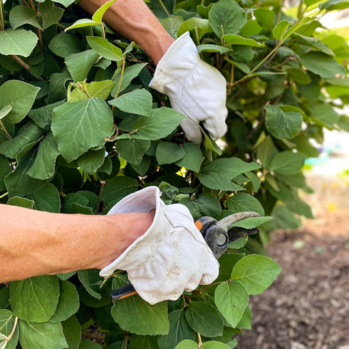 Wells Lamont Men's Full Leather Work Gloves with Reinforced Palm, Grain Goatskin, Elastic Wrist, X-Large (1720XL) ,Grey...