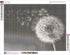 Zimal Diamond Painting Full Round Diamond"Dandelion" 3D Embroidery Cross Stitch Rhinestone 5D DIY Mosaic Decor Black White Art Decor 11.8 x 15.8 I...