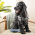 Harry Barker Rubber Balls and Rubber Chew Stick, Rubber Bone for Dogs - Medium Bone...