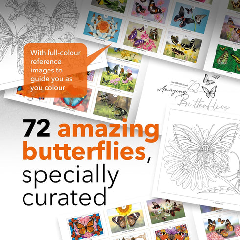 Castle Arts Butterflies Coloring Book | 72 Amazing Beauties Curated by in-House Artists with Color Reference Guide | No Show-Thru Artist Grade Pap...