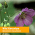 Herb Pharm Wild Geranium (Cranesbill) Liquid Extract - 1 Ounce...