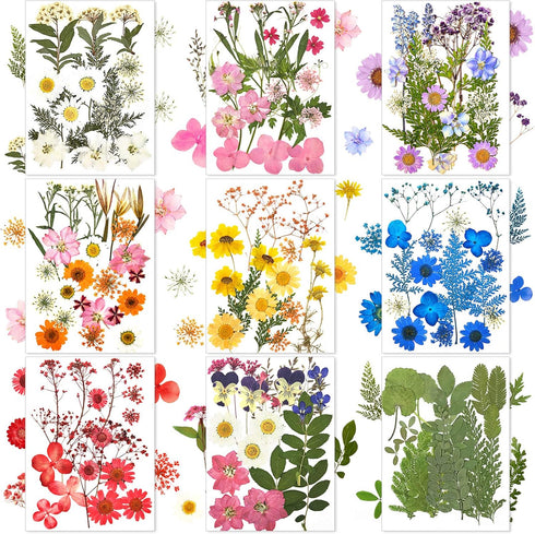 Nuanchu 167 Pcs Real Dried Pressed Flowers Natural Dried Flowers Colorful Daisy Mixed Wildflowers Leave for DIY Candle Resin Nails Jewelry Pendant...