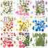 Nuanchu 167 Pcs Real Dried Pressed Flowers Natural Dried Flowers Colorful Daisy Mixed Wildflowers Leave for DIY Candle Resin Nails Jewelry Pendant...