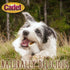 Cadet Junior Stuffed Shin Bones - Highly Digestible, High Protein, Long-Lasting Dog Chew Bone for Aggressive Chewers, Supports Dental Health, - Pe...