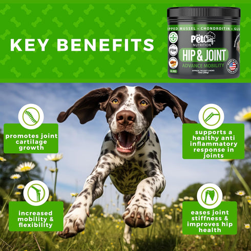 Pet Chef Advanced Dog Hip & Joint Supplement Treat - Glucosamine, Chondroitin & Turmeric MSM Breeds-Reduce Pain, Inflammation & Arthritis. Super D...