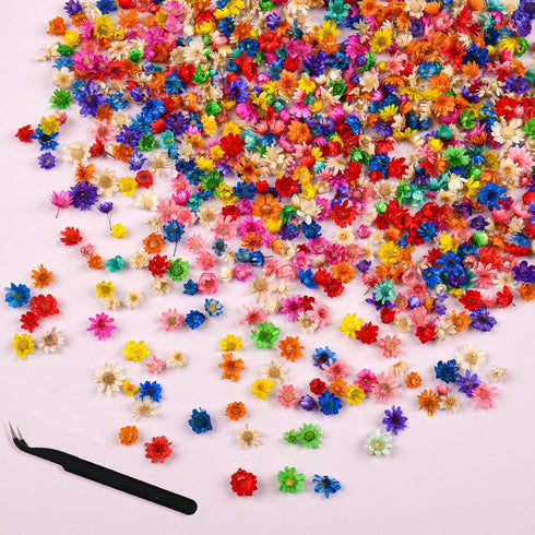 300+Pcs Small Dried Flowers for Crafts with Tweezer - Colorful Real Natural Mini Dried Flowers for Resin, Tiny Dried Pressed Flowers for DIY Jewel...