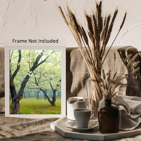 Posterizer 1 pcs-orchard tree scene-lush nature art-soft serene poster 2-Collectibles & Fine Art-Landscape & Nature Art-Gift for Art Lovers- unfra...