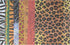 Roylco Animal Craft Papers Pack of 40...