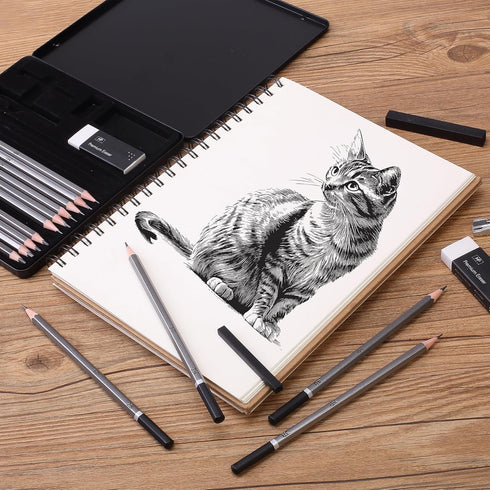 Mr. Pen- Sketch Pencils for Drawing, 19 pcs, Drawing Pencils for Sketching with Graphite Sticks, Erasers and Sharpener, Sketching Pencils, Art Pen...